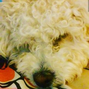 Meet your Posher, Jade